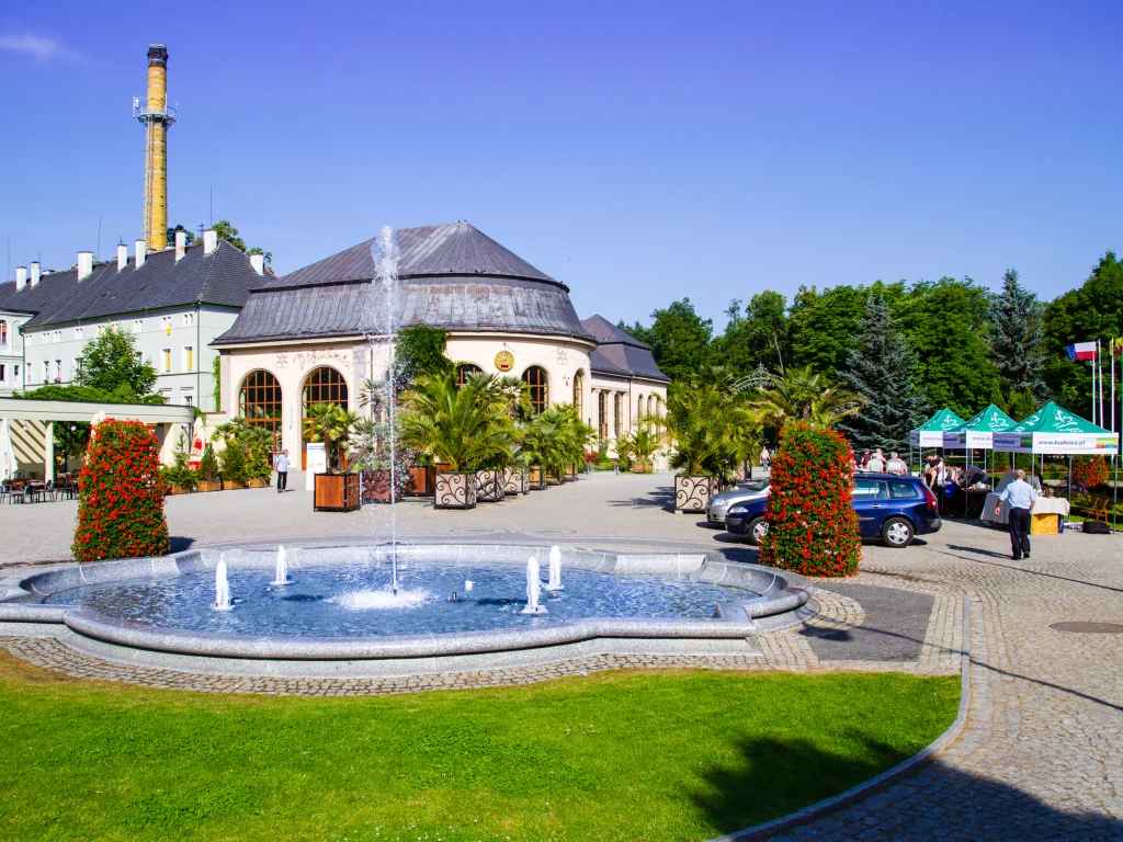 Image hover effect image